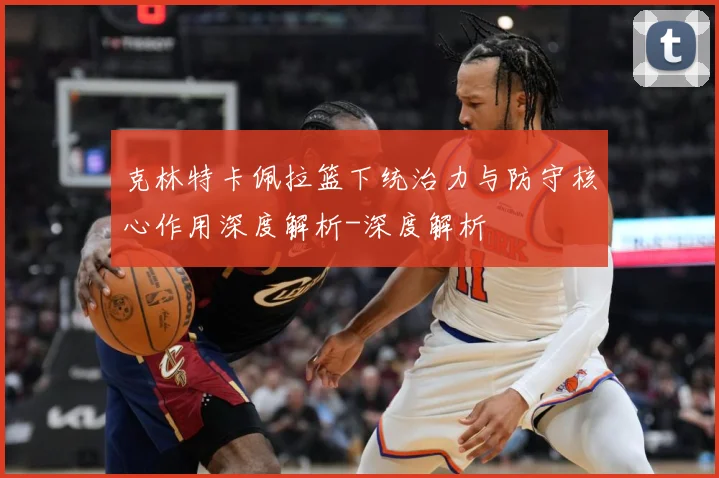 克林特卡佩拉篮下统治力与防守核心作用深度解析-深度解析