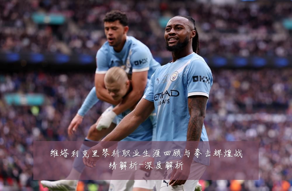 维塔利克里琴科职业生涯回顾与拳击辉煌战绩解析-深度解析